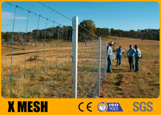La recinzione del cavo dell'azienda agricola di lunghezza 50m zinca i pannelli rivestiti del cavo della capra