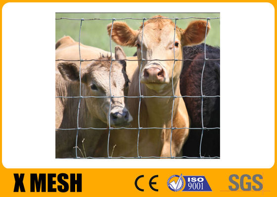 Il PVC ha ricoperto l'azienda agricola del metallo recinta il bestiame 1400 del Mpa recinta Panels