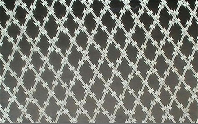 Recinto di filo metallico su misura dimensione della prigione, recinto di filo metallico del rasoio per i servizi governativi