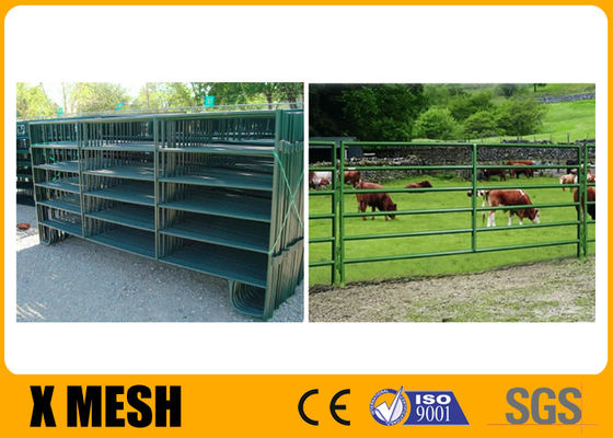 Gambe a 12 pollici cavallo e metropolitana rivestita del campo dell'azienda agricola della polvere verde dei pannelli del bestiame