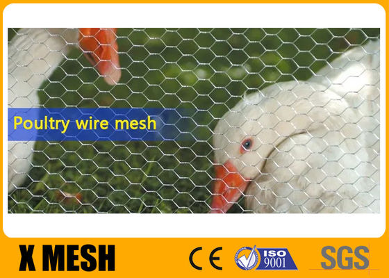 Recinto di filo metallico del pollo di acciaio inossidabile di resistente agli'acidi 20Ga Poultry Netting