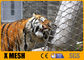 7X19 tipo cavo Mesh For Animal Enclosures Rustproof dello zoo di SS316L